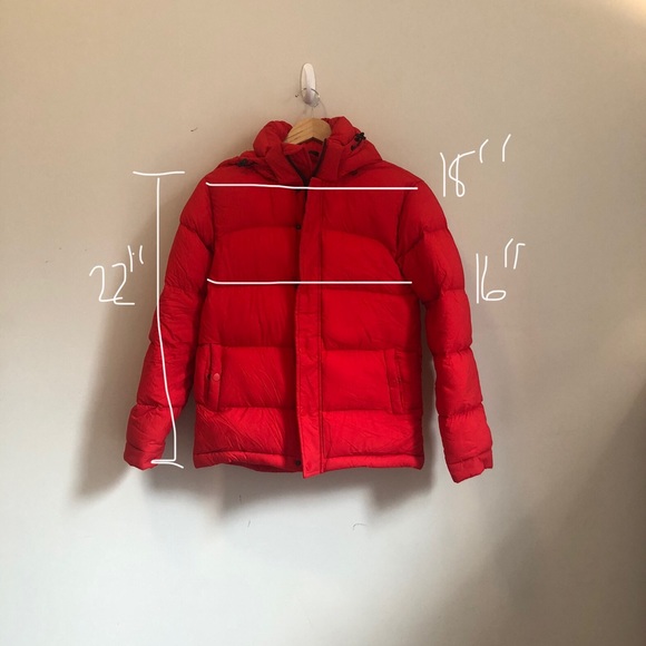 Puffer - Picture 3 of 3